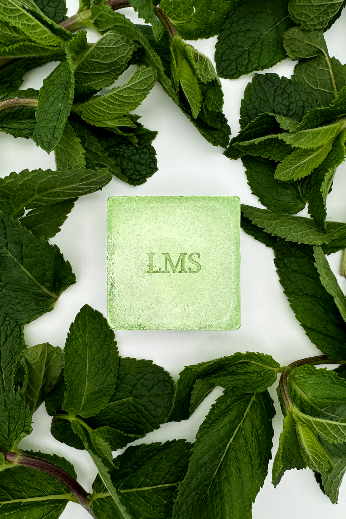LMS Fraîcheur – Dentifrice Solide BIO 3 mois