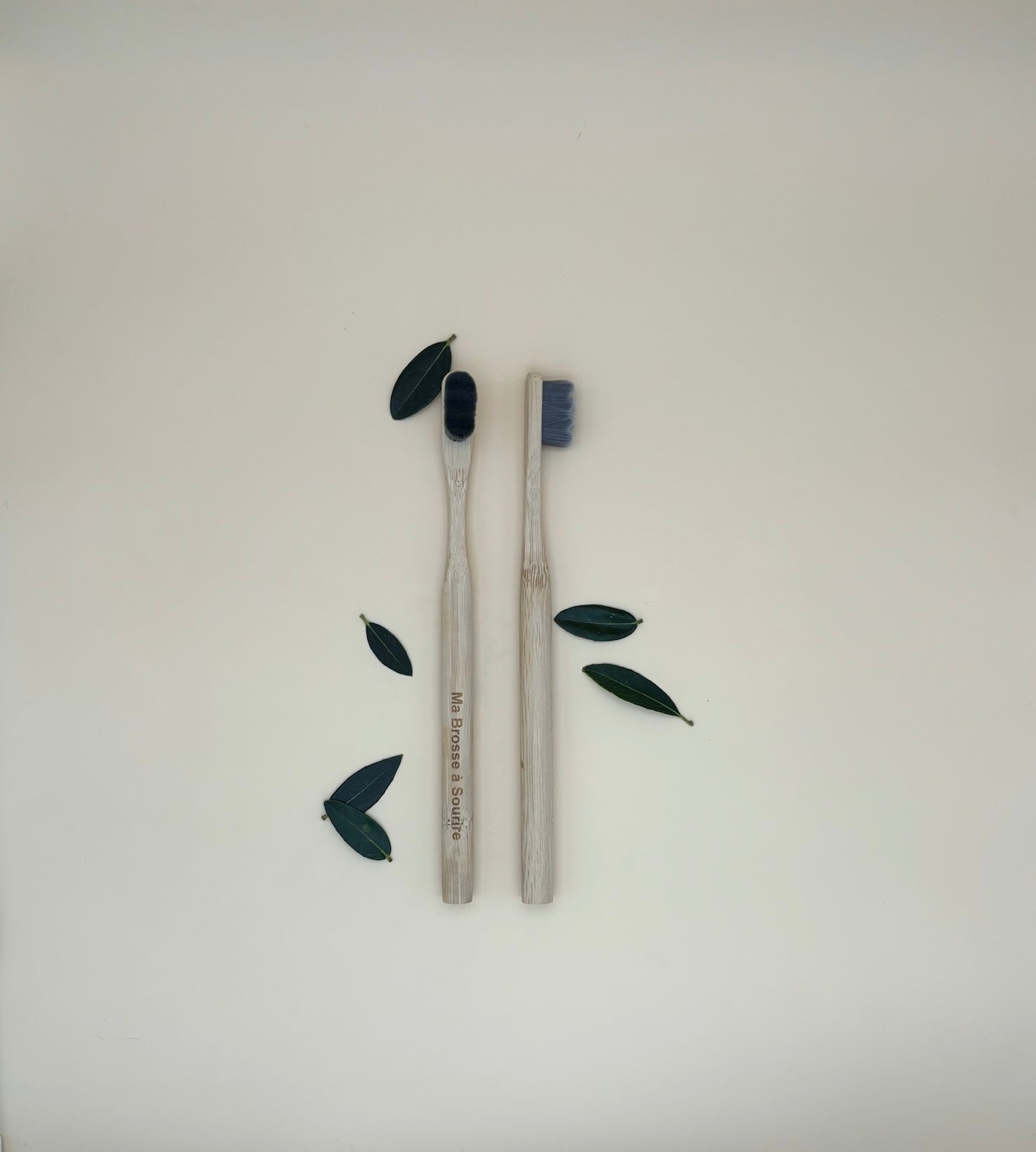 Ma Brosse à Sourire – Brosse à dents en bambou 15 000 nano-poils | Look My Smile